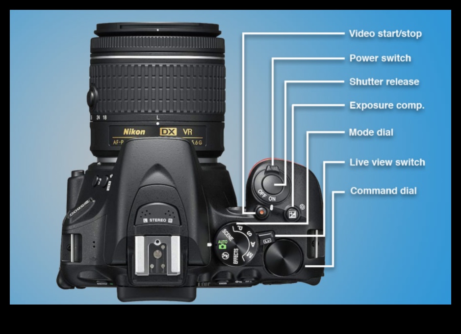 Kameras kartogrāfija: Navigācija kameras izvēlņu un iestatījumu pasaulē