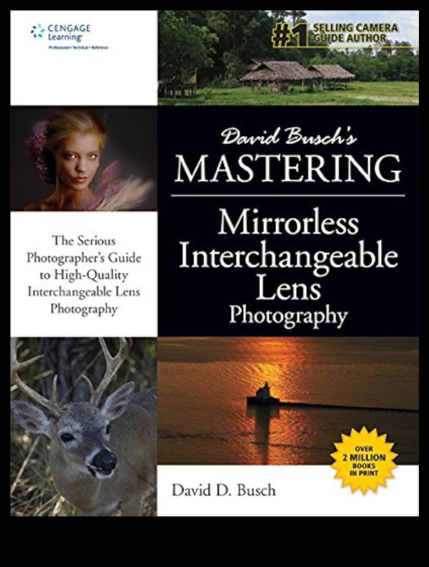 Meistarība bez spoguļiem: kameras ar maināmu objektīvu sistēmām