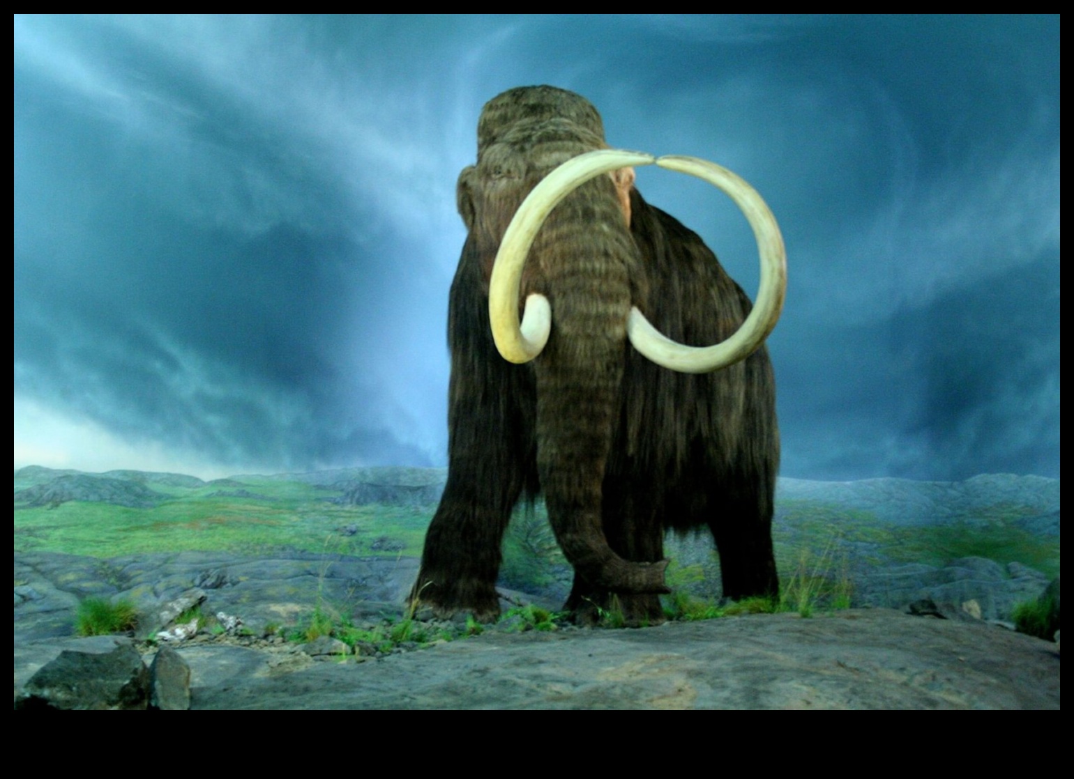 Mamutu sienas gleznojumi: Megafauna aizvēsturiskajā alu mākslā