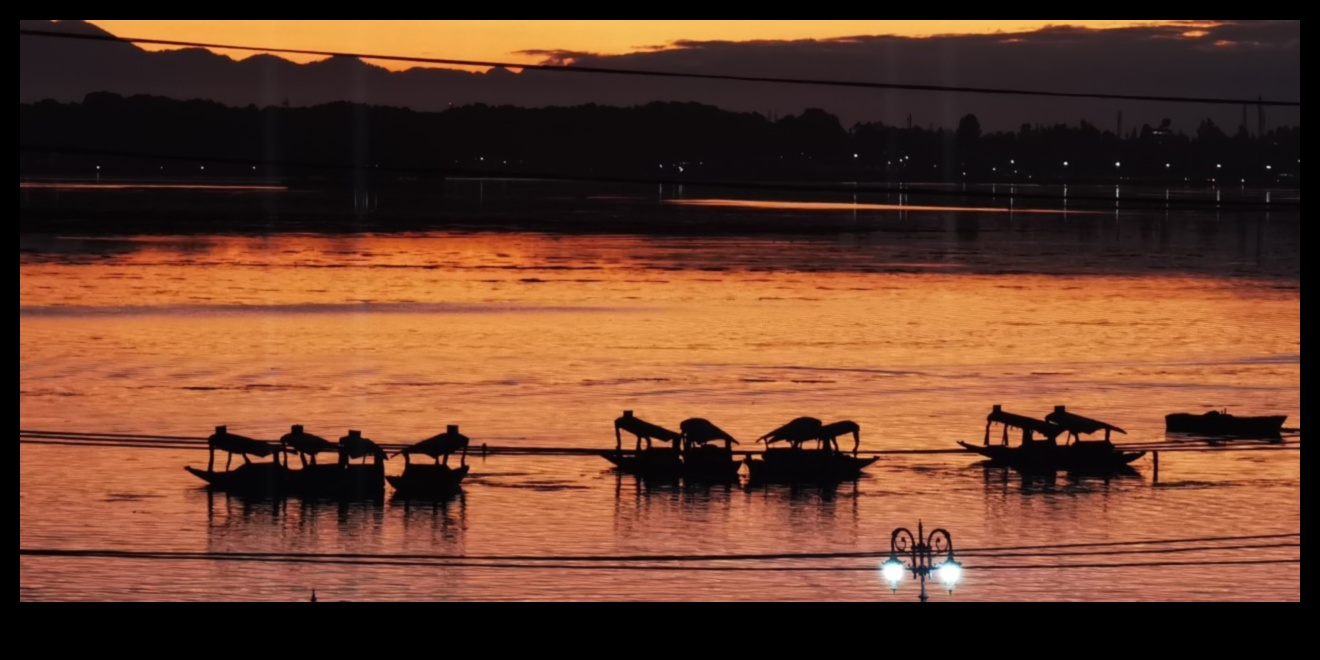Procesa odiseja: kuģošana uzņēmēju jūrās