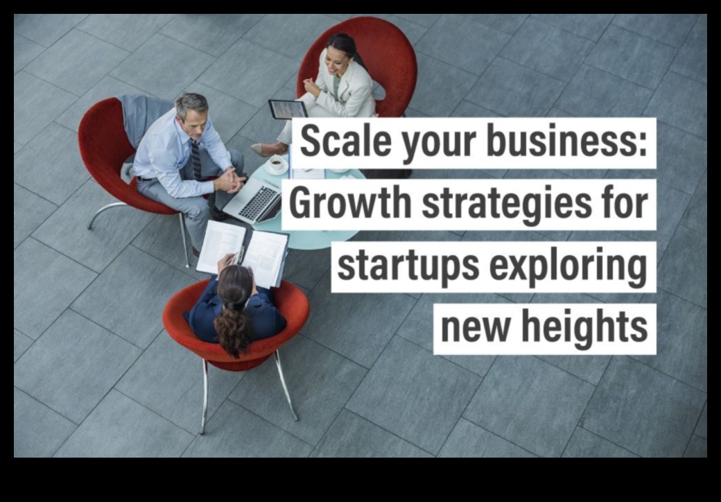 Startup Zenith: jaunu virsotņu sasniegšana uzņēmējdarbībā