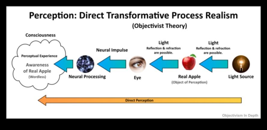 Vizuālā patiesība: reālisma ietekme uz skatītāja uztveri